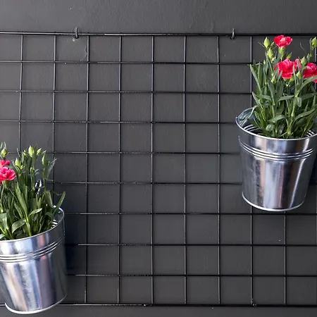 Apartamento Balabanov